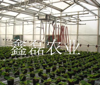 溫室噴灌系統(tǒng)