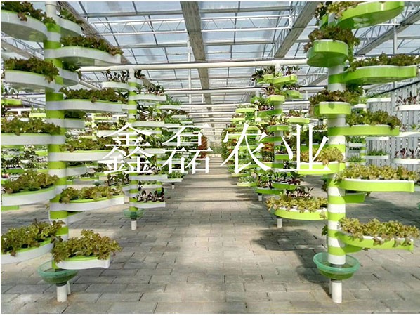 花卉、育苗基地